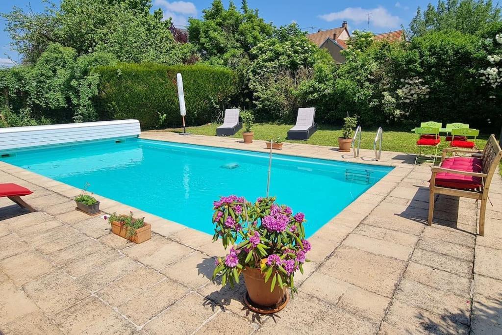 Alsace Bas-Rhin Logis Independant Avec Piscine Privee Lejlighed Alteckendorf Eksteriør billede