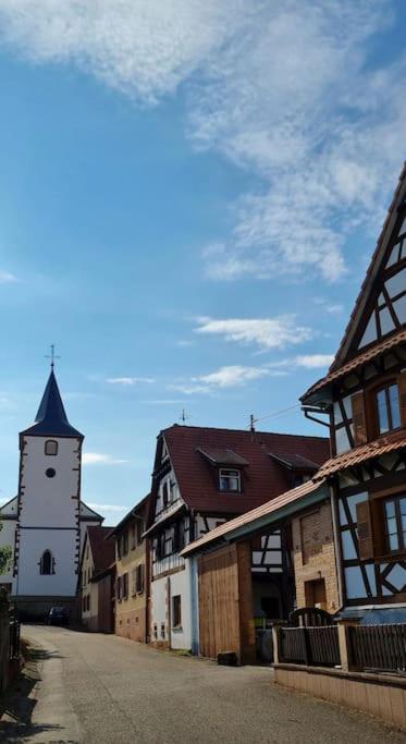Alsace Bas-Rhin Logis Independant Avec Piscine Privee Lejlighed Alteckendorf Eksteriør billede
