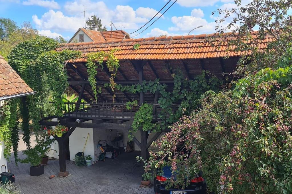 Alsace Bas-Rhin Logis Independant Avec Piscine Privee Lejlighed Alteckendorf Eksteriør billede